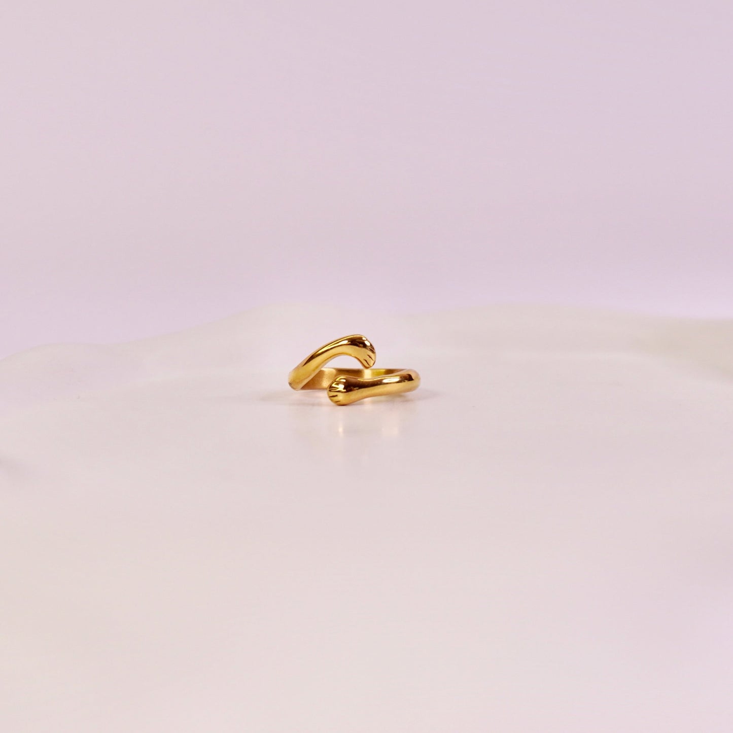 Taylor ring 🐱