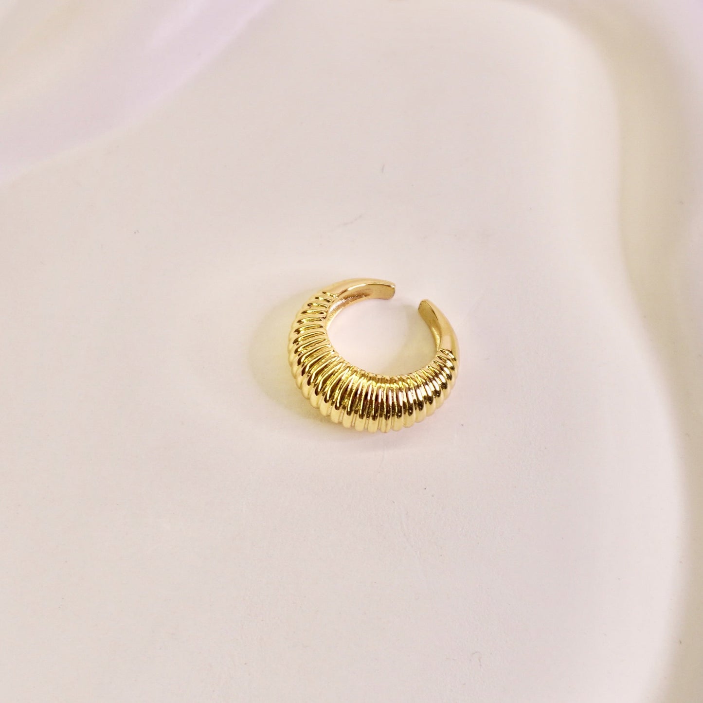 Nicki ring 🍩