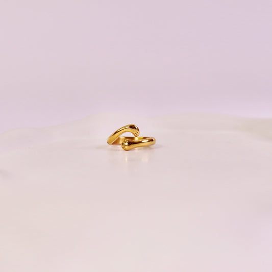 Taylor ring 🐱