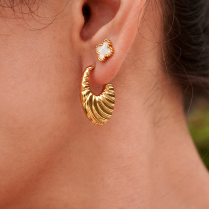 Roshni  Earrings ❇