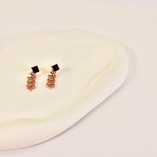 Roxanne earrings ⌚